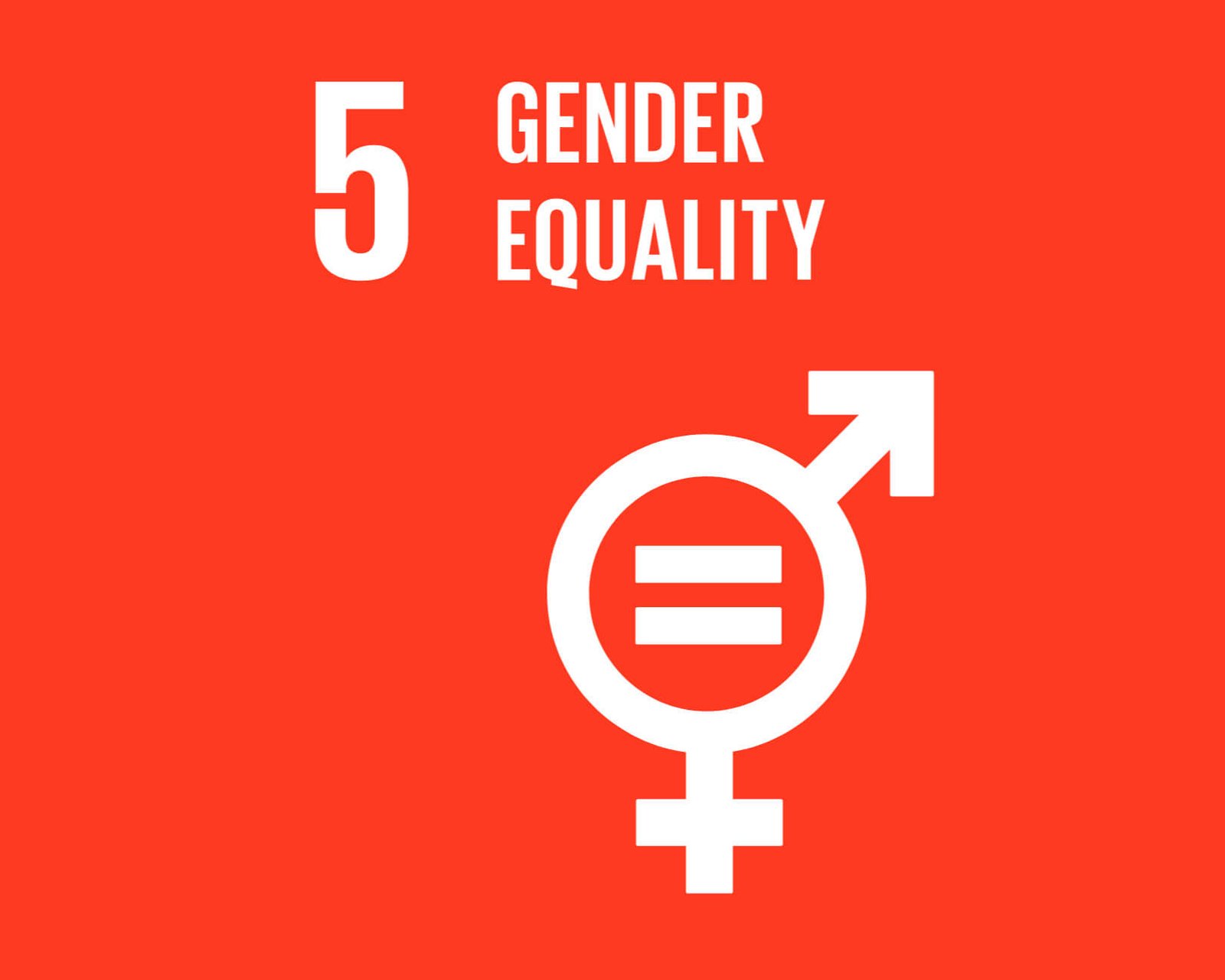 EBEPEXPRESS Logistyka e-commerce ze stawkami ryczałtowymi