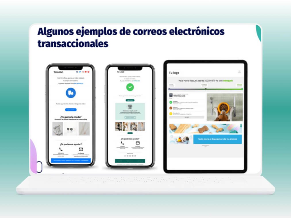 Firma zajmująca się wysyłką paczek e-commerce EBEP Express POLSKA